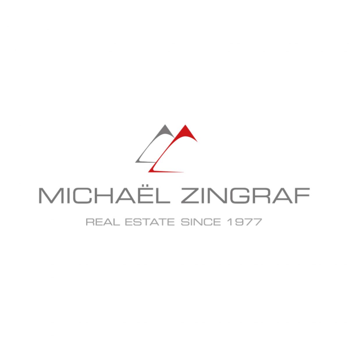 Michaël Zingraf Real Estate Lyon