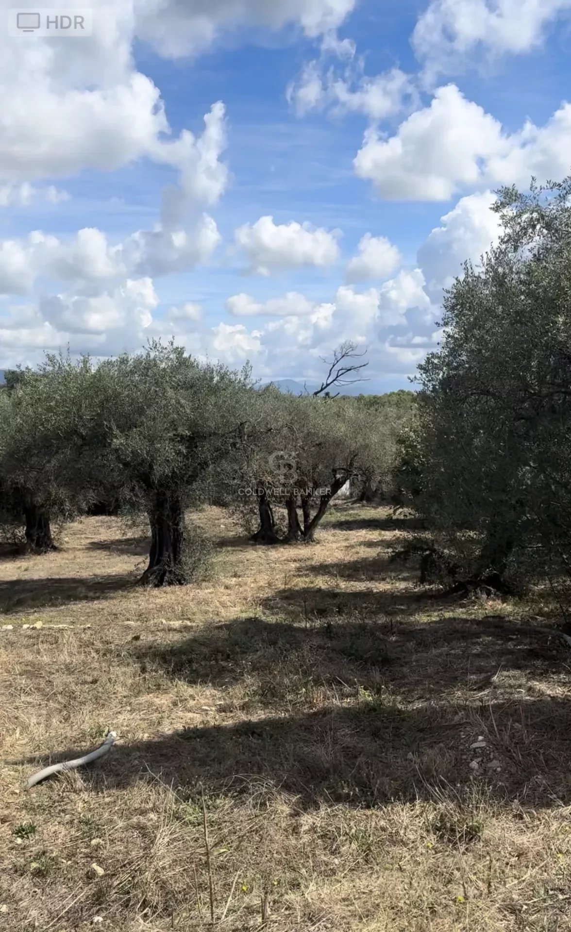 Beau Terrain Constructible À 10 Minutes À Pied Du Village De Valbonne<span>À Valbonne