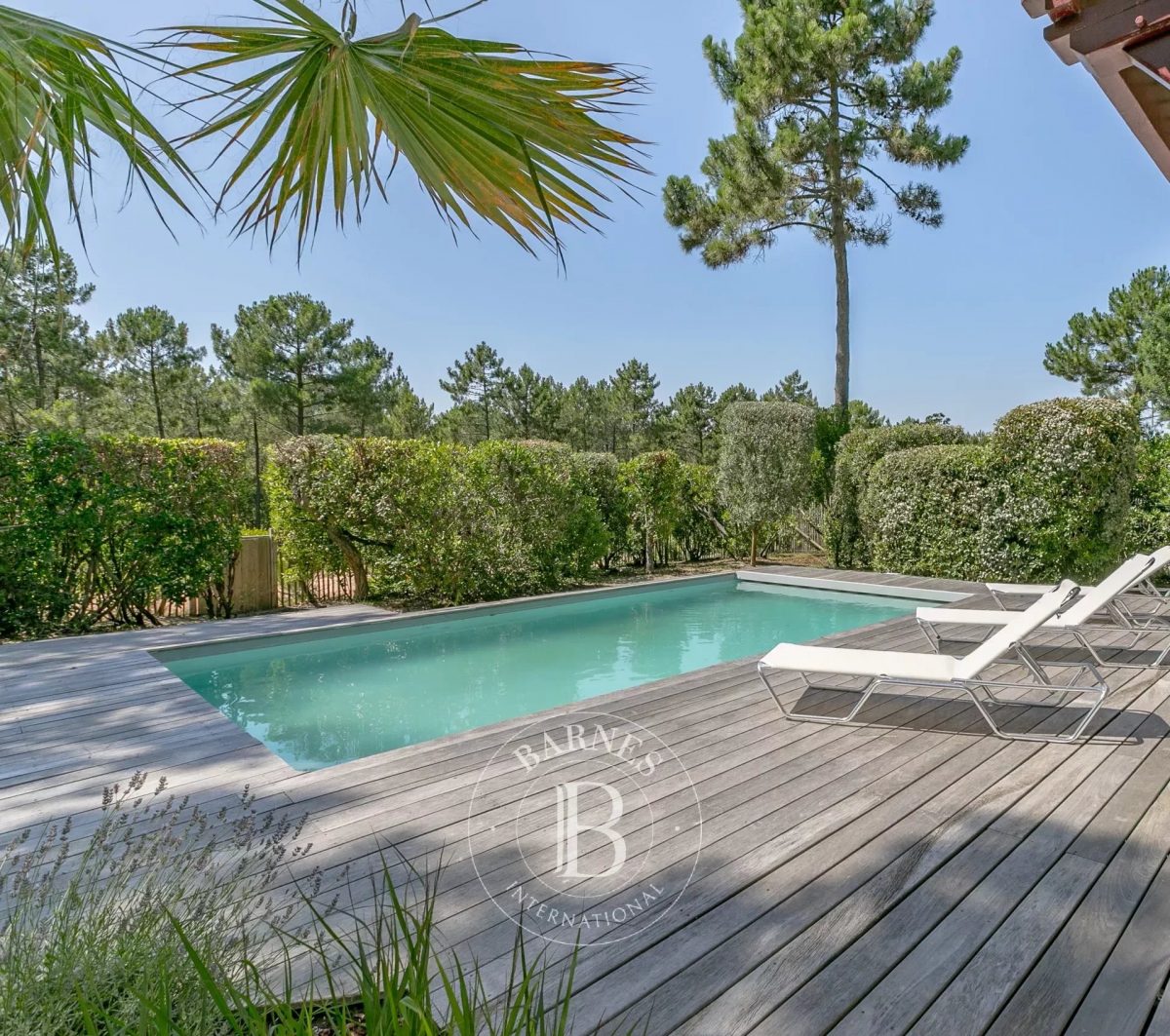 Magnifique Villa Avec Vue Panoramique Sur La Forêt Au Canon, Cap Ferret<span>À Lège-Cap-Ferret